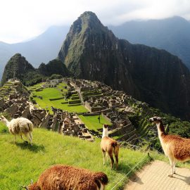 Machu Picchu. Cuzco, Peru