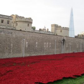 Poppies at the Tower of London