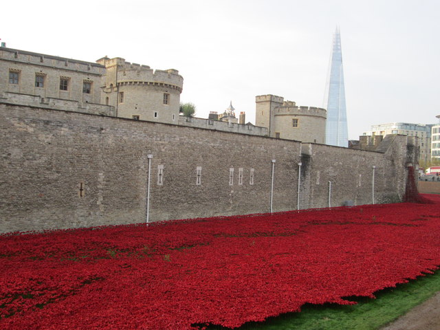 Poppies at the Tower of London