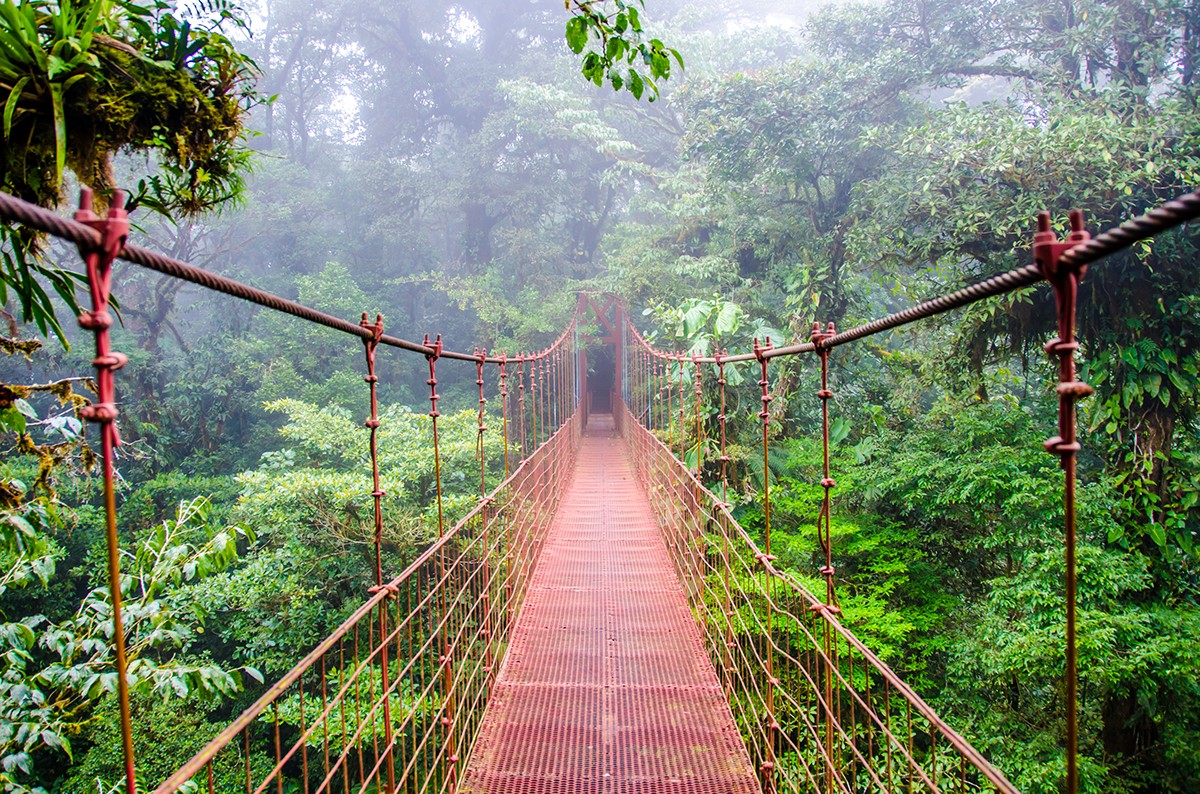 Monteverde cloud Forest - Puntarenas, Costa Rica