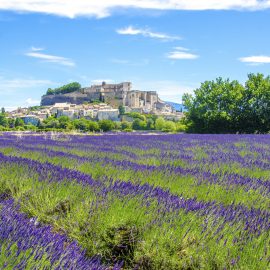 French language immersion tours - Language study tours in France