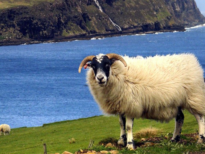 Scotland Coastline