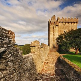 Blarney Stone