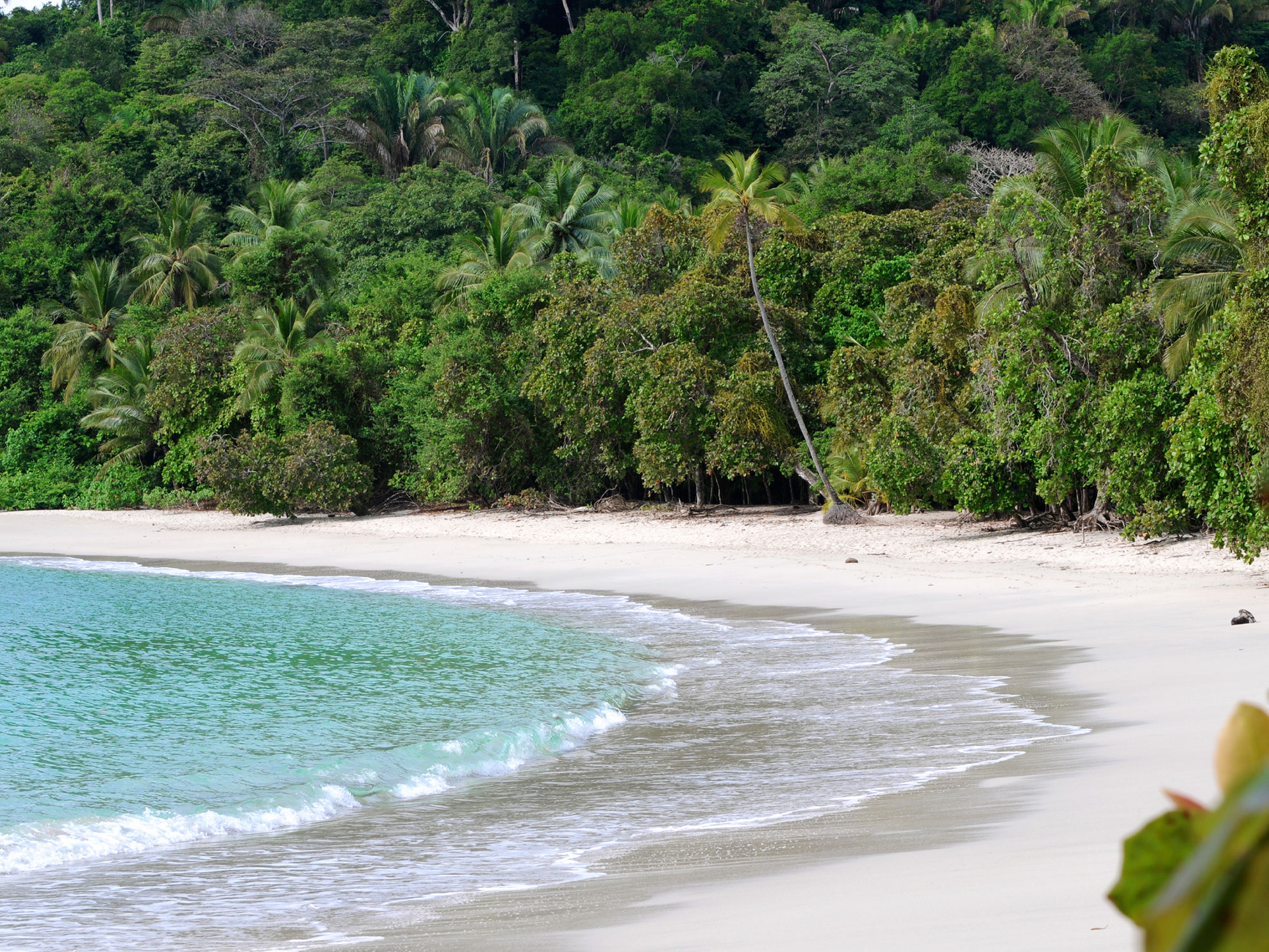 Costa Rica Manuel Antonio Beach