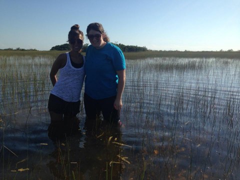 Florida Everglades