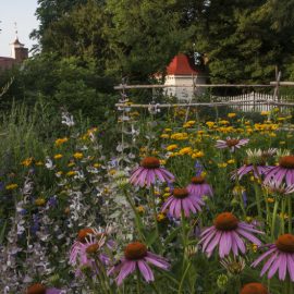 Mount Vernon's Gardens