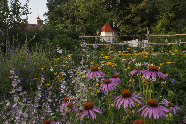 Mount Vernon's Gardens