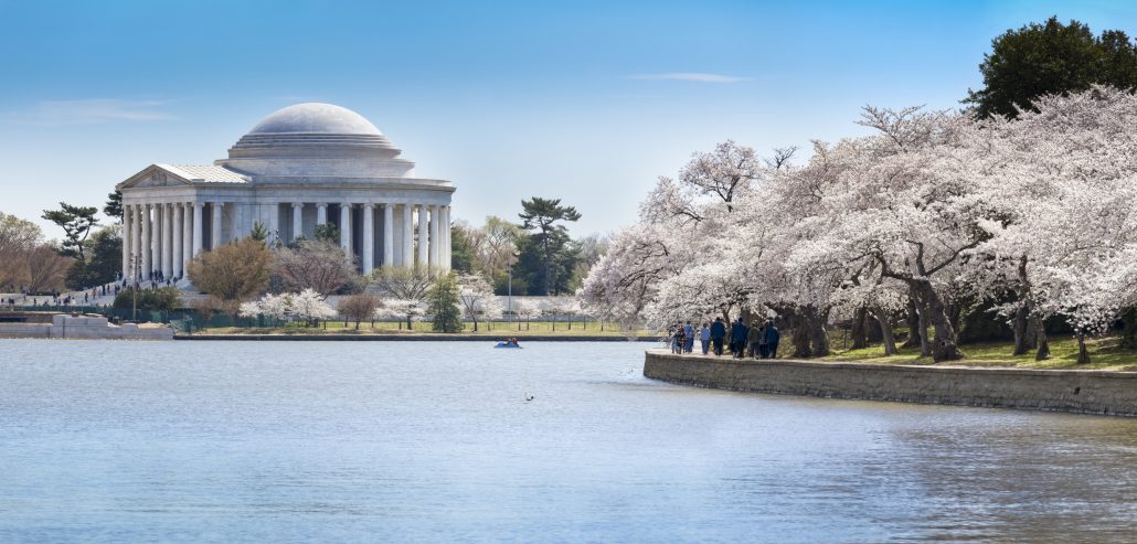 Jefferson Memorial in Spring with Cherry Blossoms