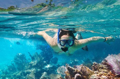 snorkel