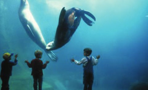 Alaska Sealife Center, Alaska