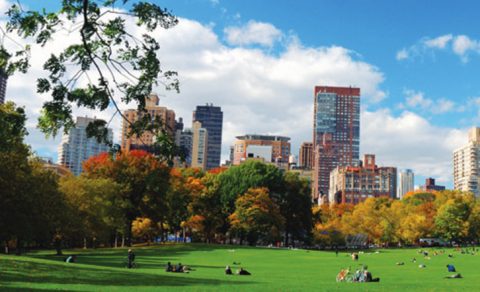 Central Park, New York