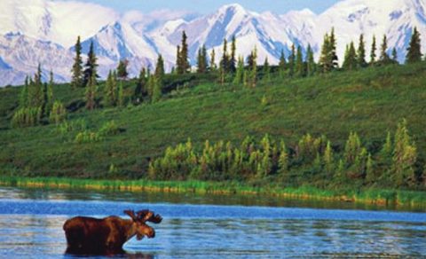 Denali National Park, Alaska