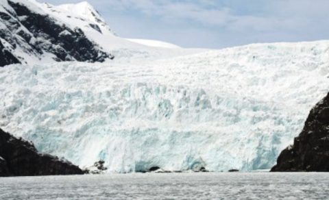 Exit Glacier, Alaska