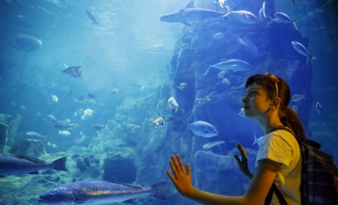 National Geographic Encounter