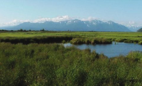 Potters Marsh, Alaska