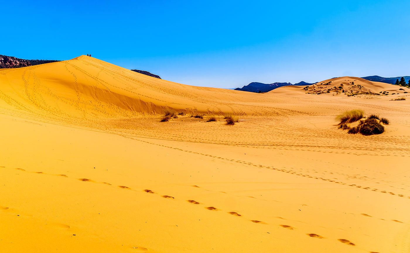 Coral Pink Sand Dune